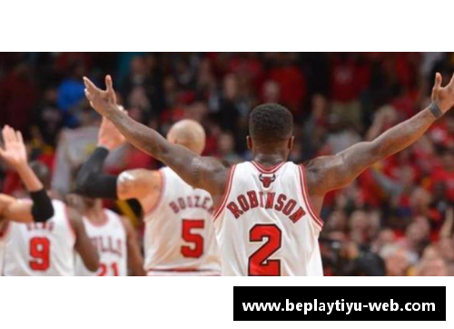 NBA比赛用球型号详解与选择指南